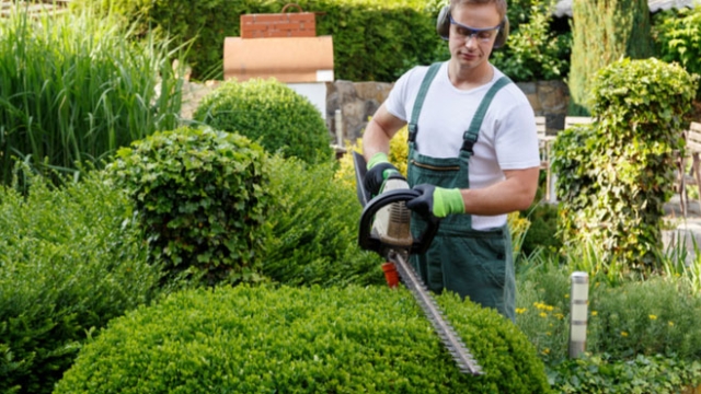 Greening Your Business: The Power of Commercial Landscaping