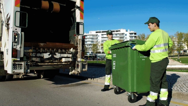 Achieving Environmental Bliss: Mastering Waste Removal Techniques