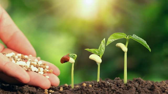 Going Green: The Secrets of Organic Soils and Fertilizers