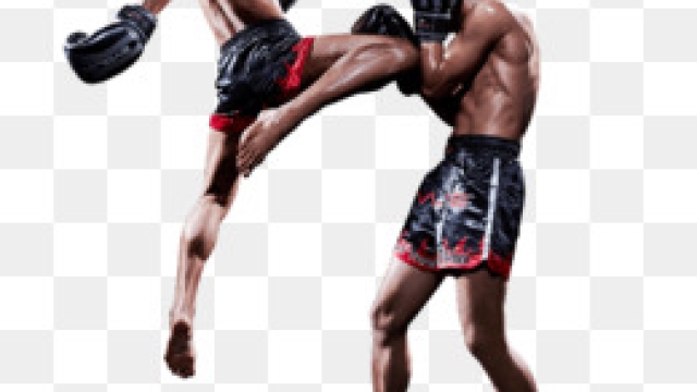The Ultimate Martial Arts Showdown: Boxing, Muay Thai, Kickboxing, Jiu Jitsu!