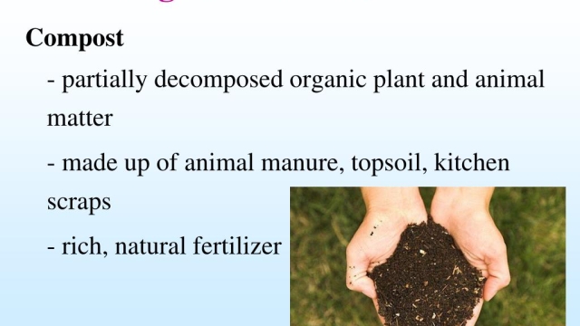 Unleashing the Magic Beneath: The Power of Organic Soil