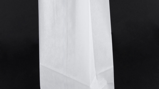 Unwrapping the Versatility of White Paper Bags