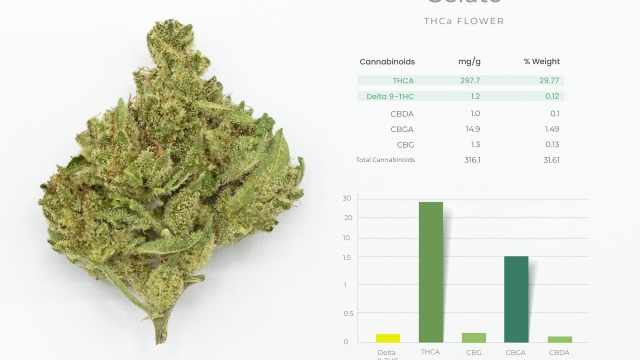 The Buzz Behind THCA Flower: A Closer Look at the Crystalline Craze