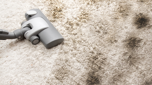 Unveiling the Secrets of Effective Carpet Cleaning: A Complete Guide