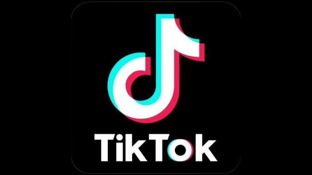 Unveiling the TikTok Trendsetters: Inside the World of Viral Videos