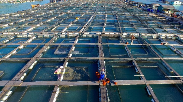 Revolutionizing the Seas: The Future of Aquaculture Technology