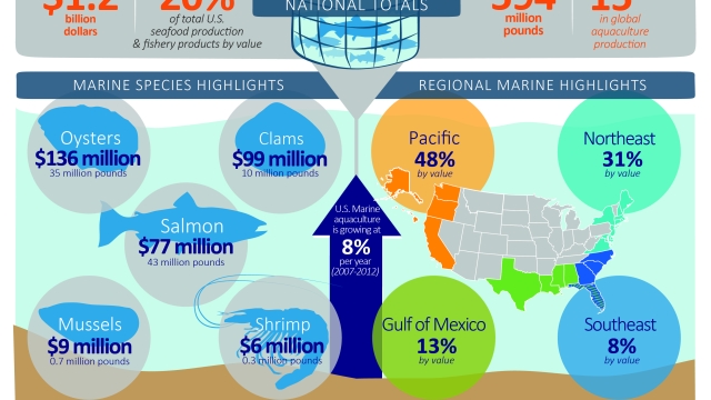 Revolutionizing the Waters: The Future of Aquaculture Technology