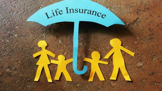 Shielding Your Future: The Complex World of Insurance Uncovered