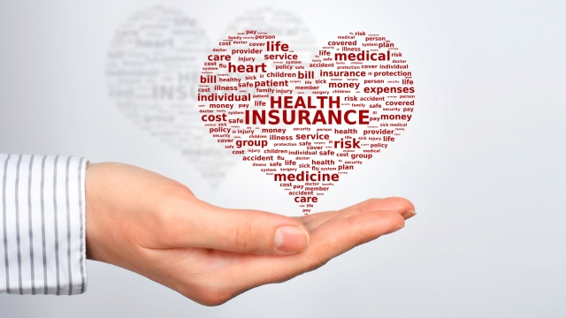 Covering Your Bases: Inside the World of Insurance Agencies