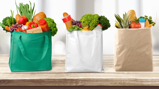 From Convenience to Consequence: The Plastic Shopping Bag Dilemma