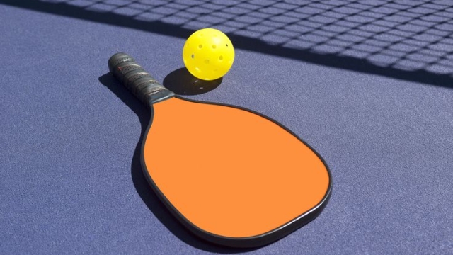 Unleashing the Fun: The Rise of Pickleball and Why You Should Join the Craze!