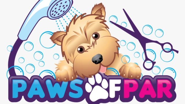 Pampered Paws: Unleashing Luxury at the Pet Saloon