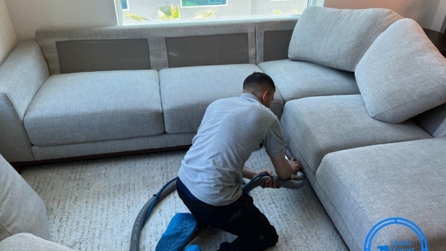 Revive Your Space: The Ultimate Guide to Carpet and Upholstery Cleaning Services